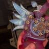 Small image 6