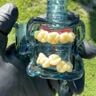 Small image 0