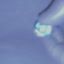 Small image 7