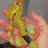 Small image 0