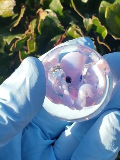 Preview pic of Octopus Marble