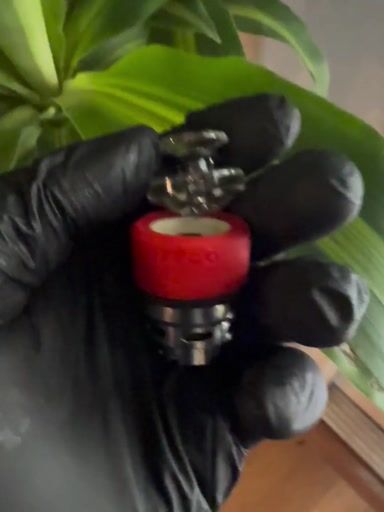 Preview pic of Puffco Pro Chamber Used