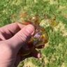 Small image 6