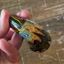 Small image 7