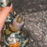 Small image 2
