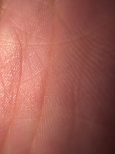 Preview pic of Maxxed Out Glass