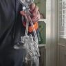 Small image 4
