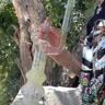 Small image 5
