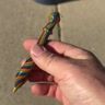 Small image 5