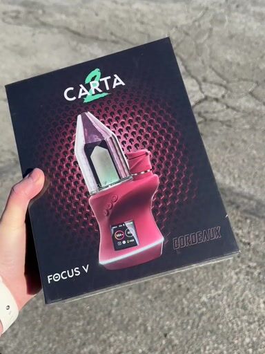 Preview pic of Focus V Carta 2 Bordeaux