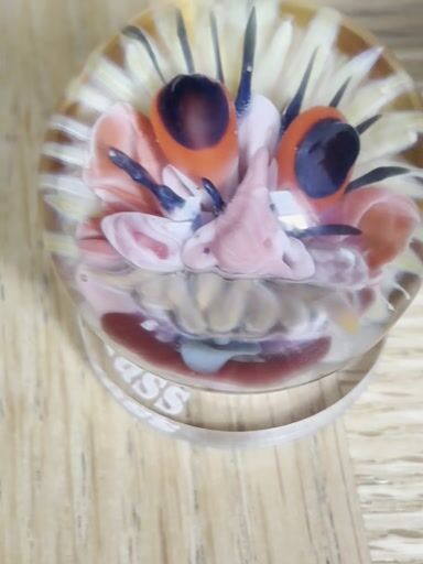 Preview pic of Mustache eyelash marble #4