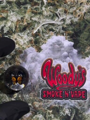 Preview pic of Monarch Butterfly Millie Marble