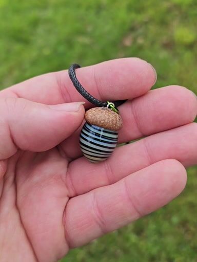 Preview pic of Striped Acorn Classic Boro Acorns