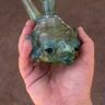 Small image 0