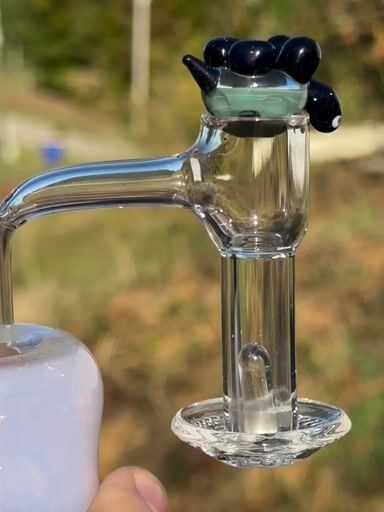 Preview pic of Mysterious Slurtle