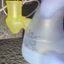 Small image 7