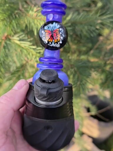 Preview pic of Windstar×Shaggy dry rop