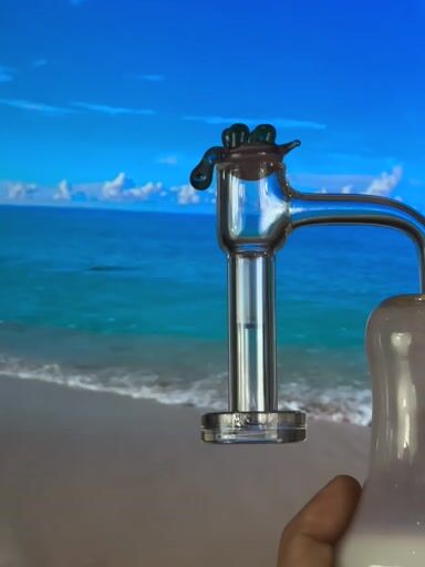 Preview pic of Swirly Blue Slurtle