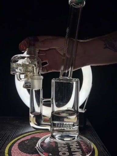 Preview pic of Sovereignty Bent Neck