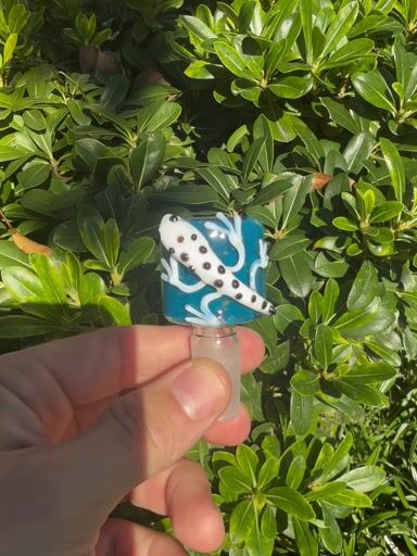 Preview pic of Blue Gecko 14mm Slide