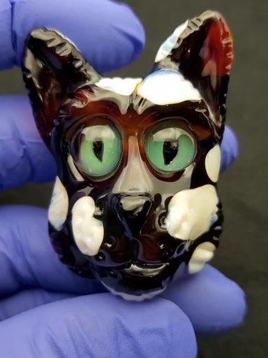 Preview pic of Patches cat