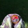 Small image 6