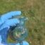 Small image 7