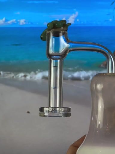 Preview pic of Gutsy Slurtle