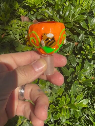 Preview pic of Orange Bee Glow In The Dark Slide