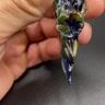 Small image 5