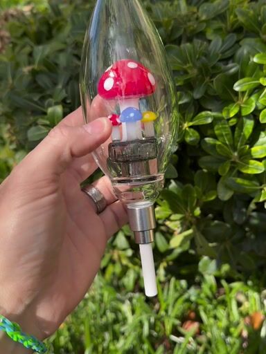 Preview pic of Red Mushroom Nectar Collector Set